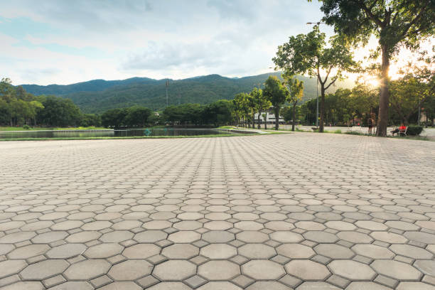 Residential Paver Driveway in Tower Lakes, IL